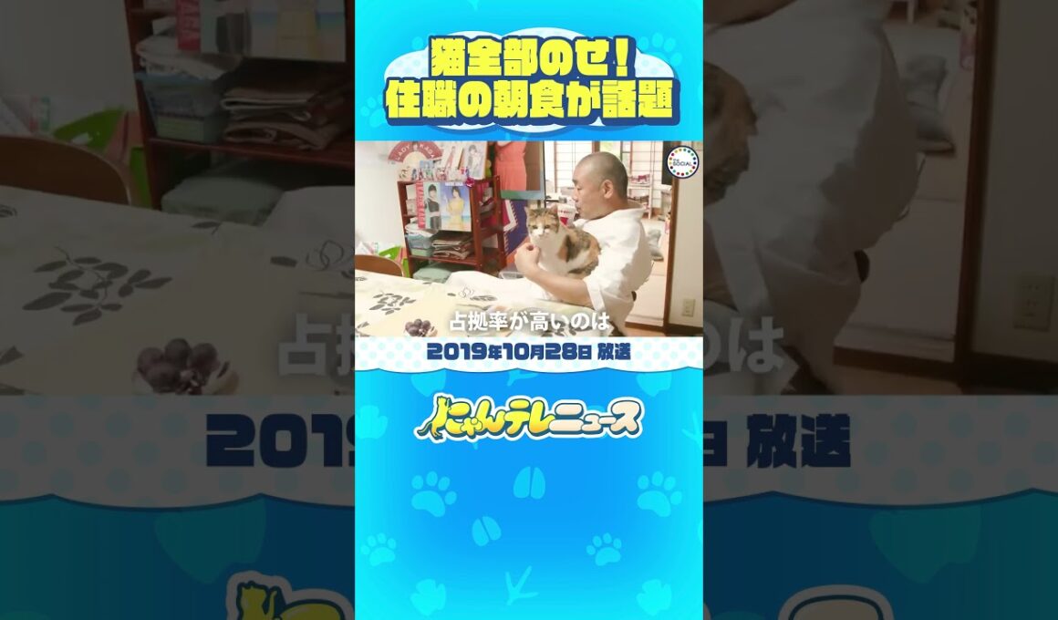 【猫全部のせ】朝ご飯は猫のせで！住職と保護猫の暮らしぶり