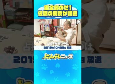【猫全部のせ】朝ご飯は猫のせで！住職と保護猫の暮らしぶり