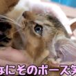一番の甘えん坊、新人ソマリのるりすけが最も甘えてしまう人が意外すぎました笑