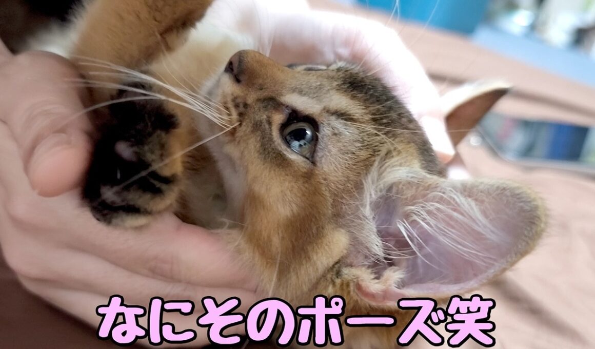 一番の甘えん坊、新人ソマリのるりすけが最も甘えてしまう人が意外すぎました笑