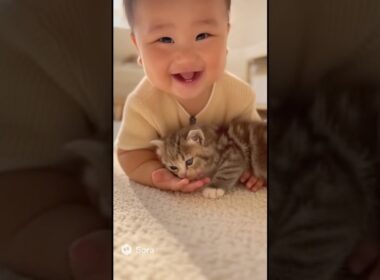 子猫が赤ちゃんの手をぺろぺろ🐾🍼笑い声が広がる優しい10秒💗 | Kitten Licks Baby’s Hand – Sweet Laughter Moment