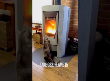 #薪ストーブ #炎大好き #点火確認 #パパ大好き猫 @rika_ofen #egyptianmaucat #エジプシャンマウ #エジプシャンマウスモーク #shorts