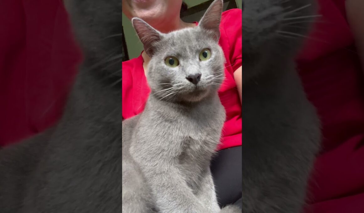 How’s your Tuesday?