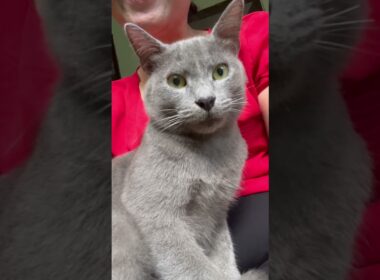 How’s your Tuesday?