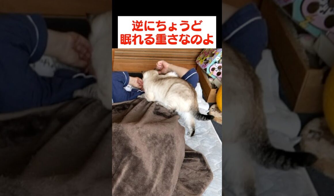 ねぇ、君の作戦むしろ逆効果だよ？