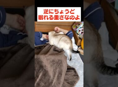 ねぇ、君の作戦むしろ逆効果だよ？