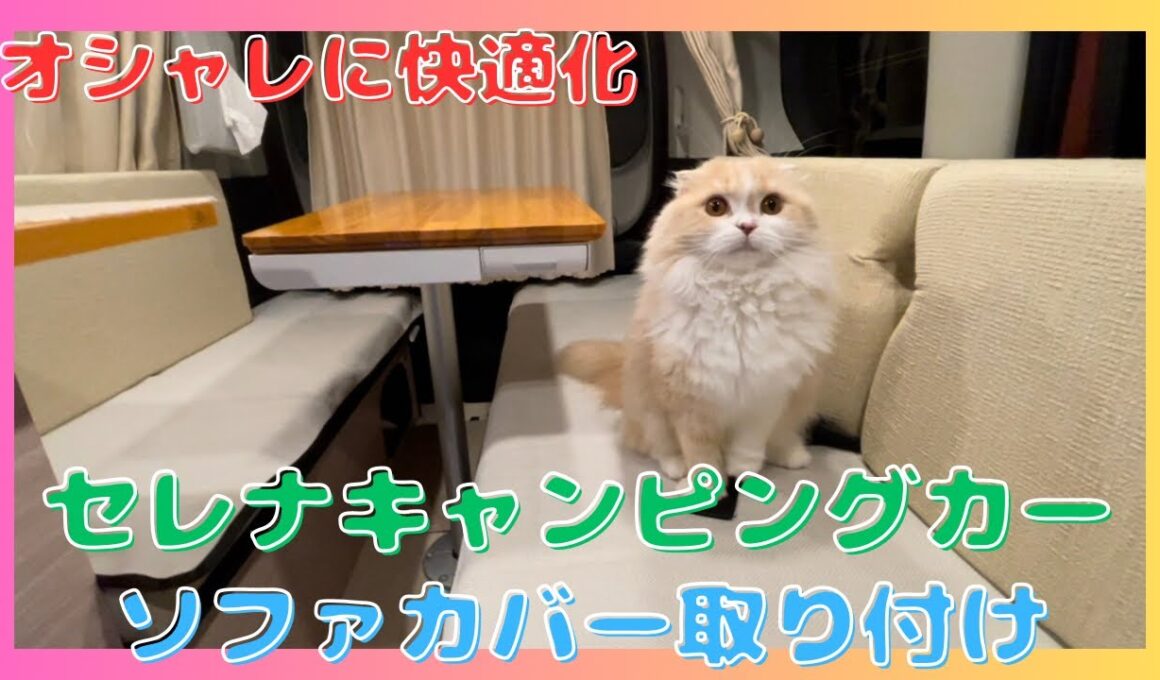 【セレナキャンピングカー】キャンピングカーDIY/ソファカバー取り付けオシャレに快適化/スコティッシュフォールド/camper van