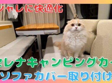 【セレナキャンピングカー】キャンピングカーDIY/ソファカバー取り付けオシャレに快適化/スコティッシュフォールド/camper van