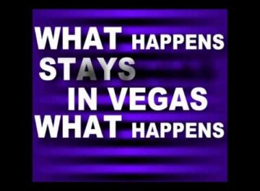 havana brown pitbull last night