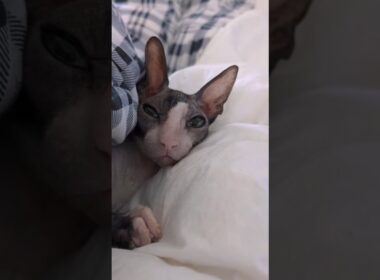 I never get tired of the sound of this little purring machine. ❤️