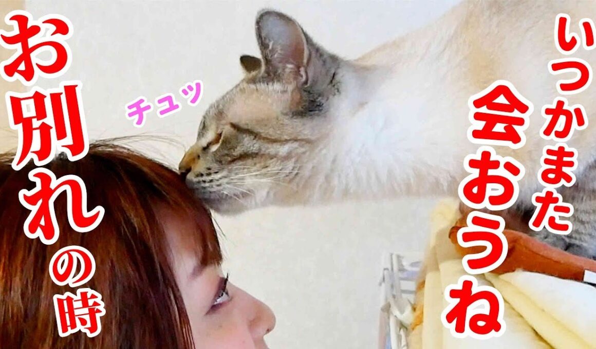 ついにお別れの時が来てしまいました…