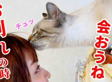 ついにお別れの時が来てしまいました…