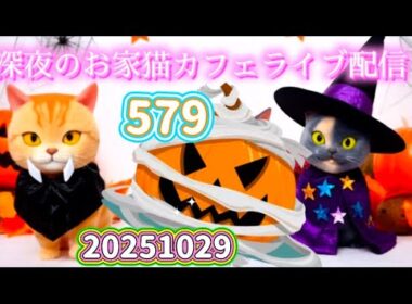 深夜のお家猫カフェライブ配信 ５７９