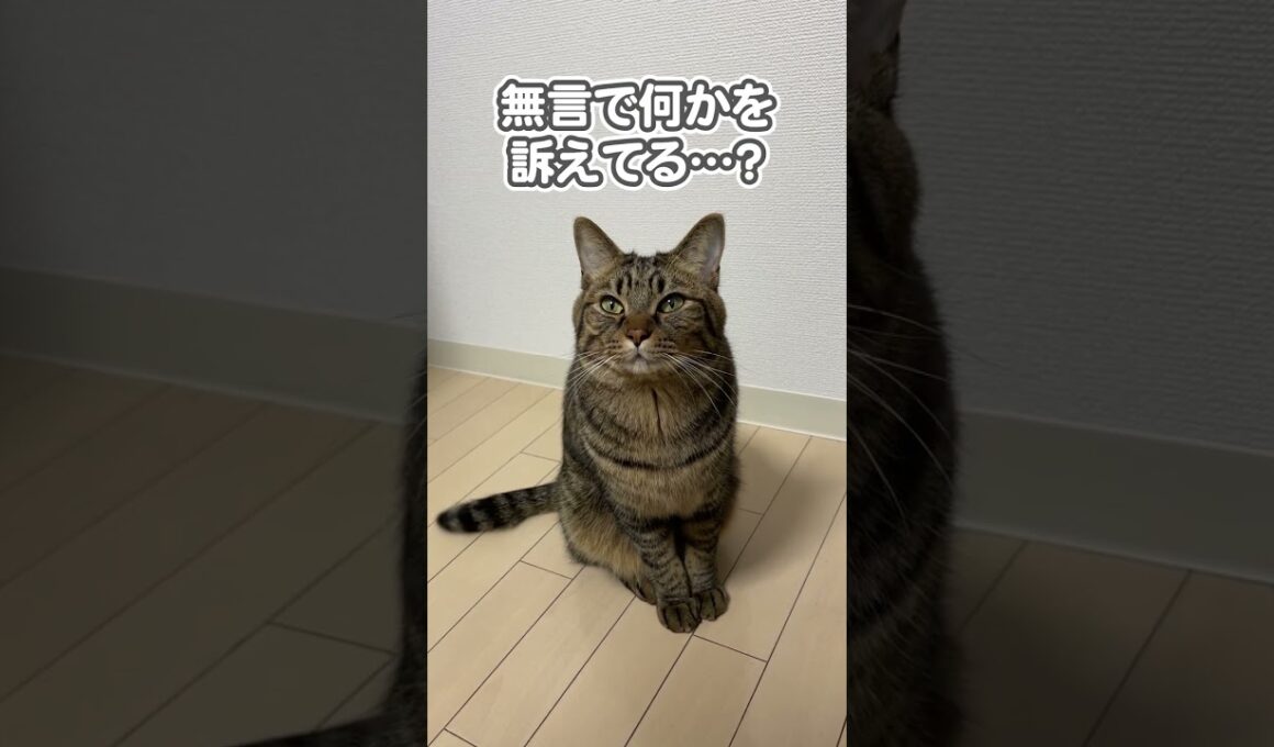 【驚愕】え、どういうこと…？？