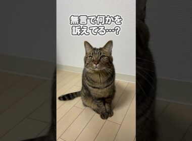 【驚愕】え、どういうこと…？？