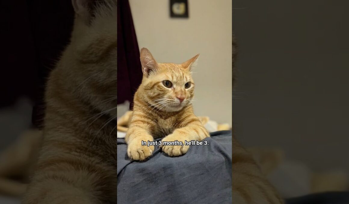 Where did the time go?