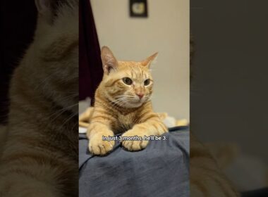 Where did the time go?