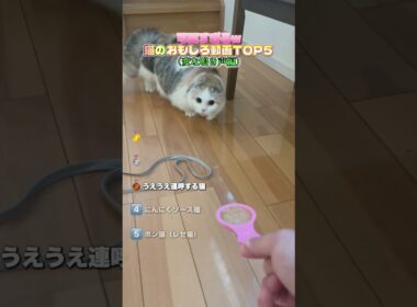 日本中でバズった変な鳴き方をする猫ちゃんたち❗️#ペット #猫 #猫のいる暮らし #ねこ #猫動画