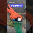 側溝に落ちた子猫の救出劇