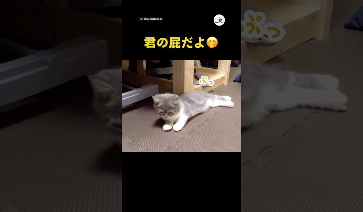 出どころは君だよ🤭｜PECO