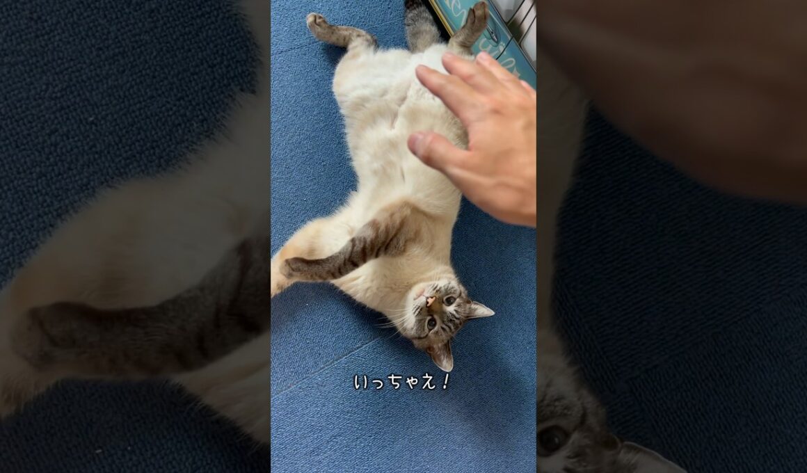 これは危険だ…