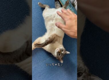 これは危険だ…