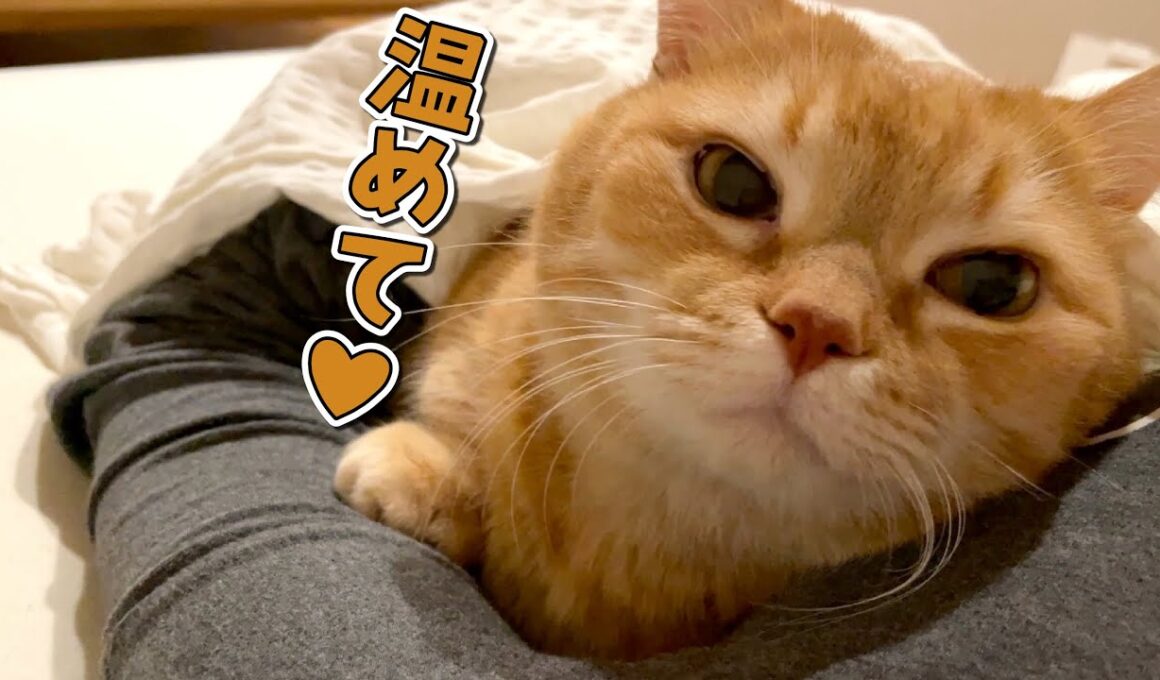 急に寒くなってベッドの衣替えが間に合わなかったら逆に幸せでした！