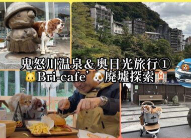 鬼怒川温泉＆奥日光旅行①犬と猫と行く旅/鬼怒川温泉廃墟探訪/🐶😸OKのbri-cafeでランチ🥪