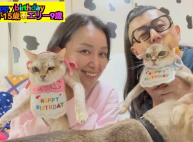 たいが＆エリー誕生日おめでとう