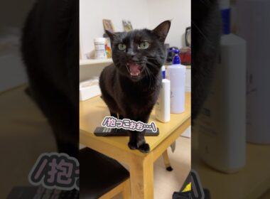 「抱っこぉぉ…」とせがまれたので、その想いに応えようとしたら…