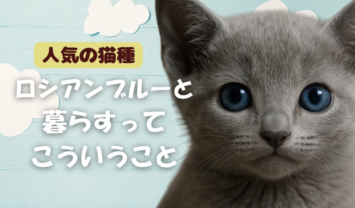 【保存版】ロシアンブルーの説明書｜ツンデレな貴族のすべて。