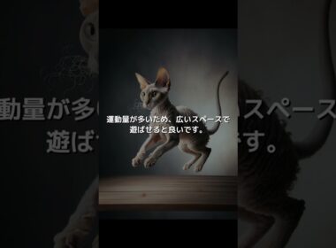 【ねこ図鑑】コーニッシュレックス | #shorts