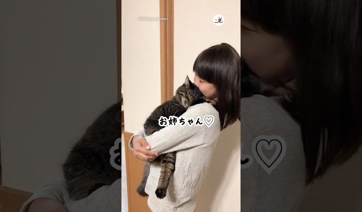 これが猫と暮らす幸せ🫶｜PECO