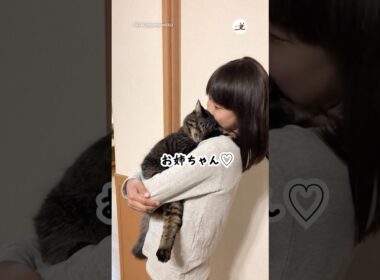 これが猫と暮らす幸せ🫶｜PECO