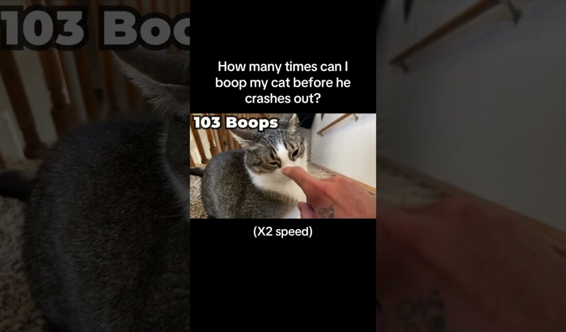 It’s what the top comment kept telling me to do