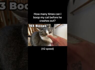 It’s what the top comment kept telling me to do