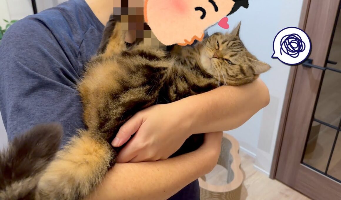パパからのキスに不満が止まらない猫が可愛すぎた！w