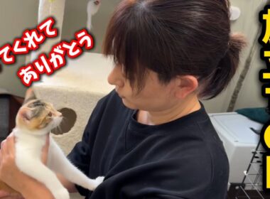 小さな体で病気と闘った子猫がついにこの日を迎えました