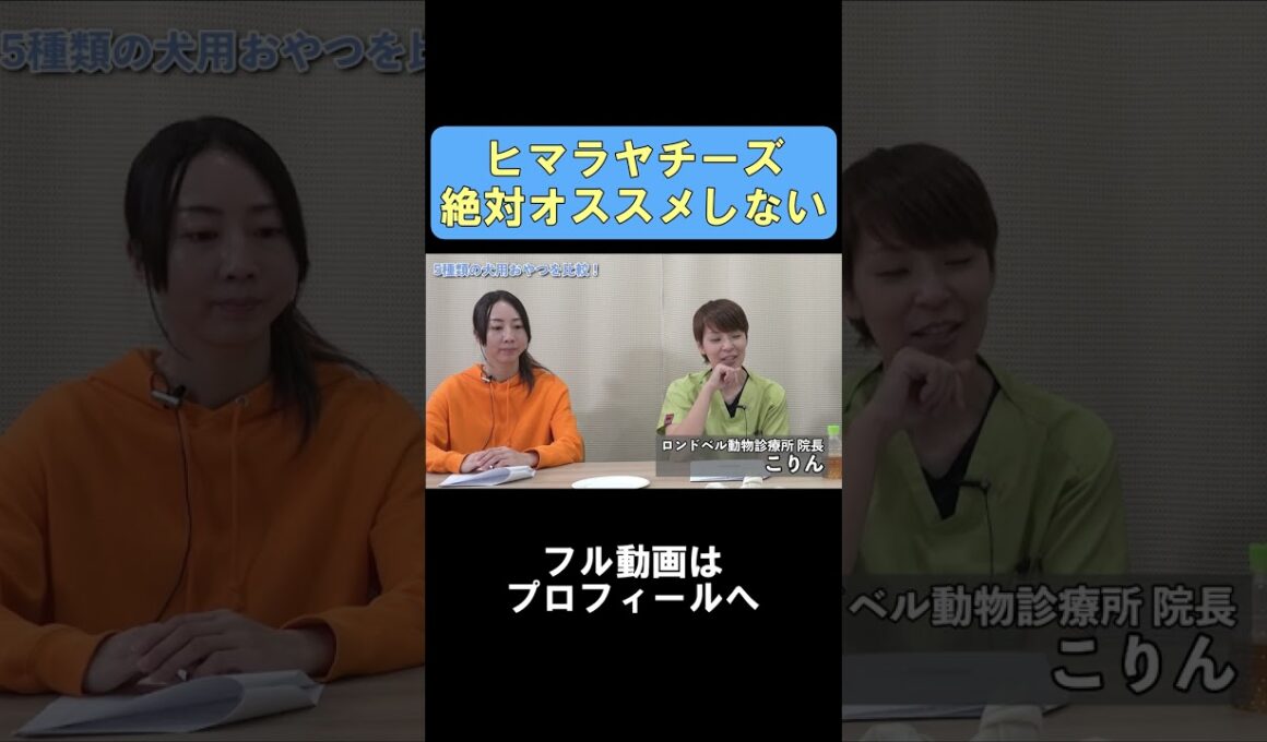 犬に人気のヒマチーが危ないなんて…　#犬 #犬のおやつ #ヒマラヤチーズ #ヒマチー #獣医師評価 #獣医師の目 #ベッツアイチャンネル #shorts