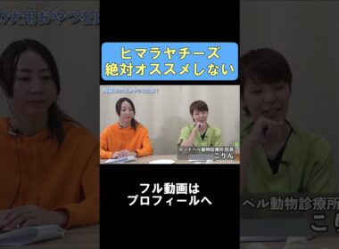 犬に人気のヒマチーが危ないなんて…　#犬 #犬のおやつ #ヒマラヤチーズ #ヒマチー #獣医師評価 #獣医師の目 #ベッツアイチャンネル #shorts