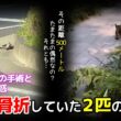 【神戸保護猫】複雑骨折していた2匹の子猫のその後  ロッキーの手術と新たな疑惑