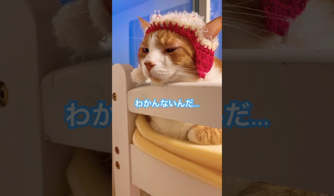 日経平均株価！ってなんですか？【ラバーガールショートコント】