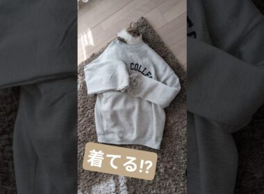 寝ている大型猫にいろいろと… #ノルウェージャンフォレストキャット