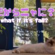 バーマン猫ラフとガブ【秋だからニャに？】So what if it's fall?（バーマン猫）