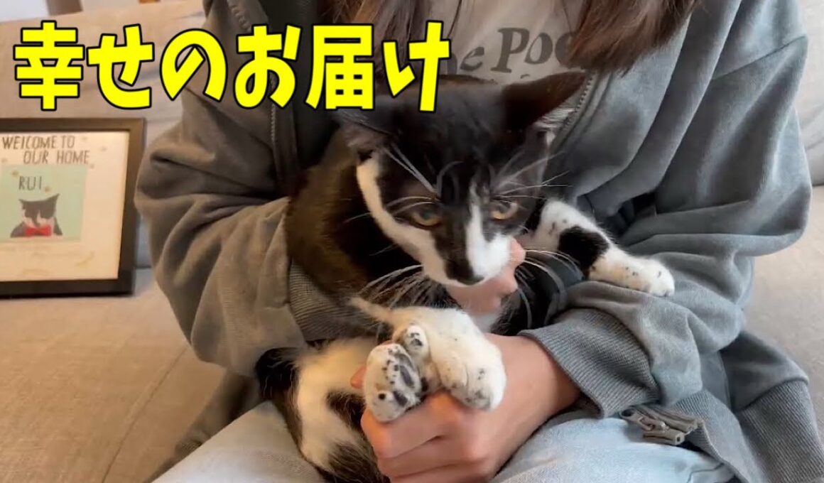 【幸せのお届け】蝶よ花よと可愛がられる事間違いなしです