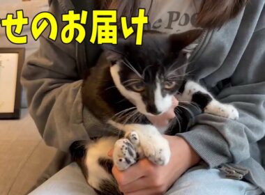 【幸せのお届け】蝶よ花よと可愛がられる事間違いなしです