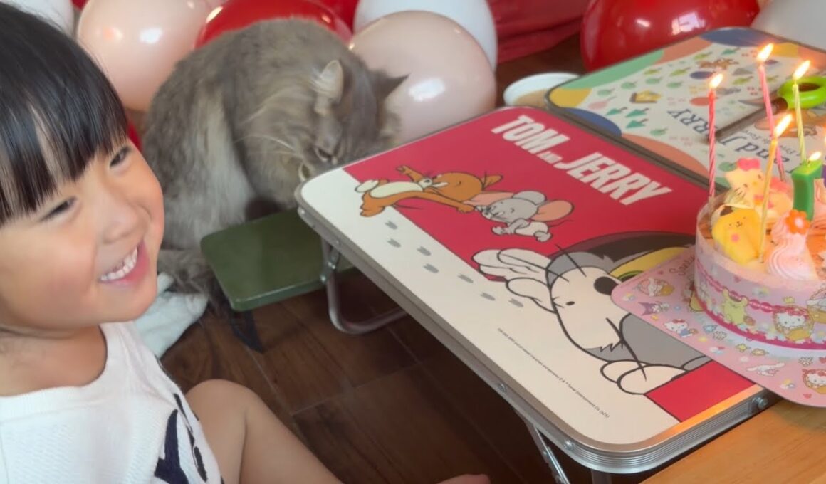 誕生日会に参加する猫、しない猫　サイベリアン