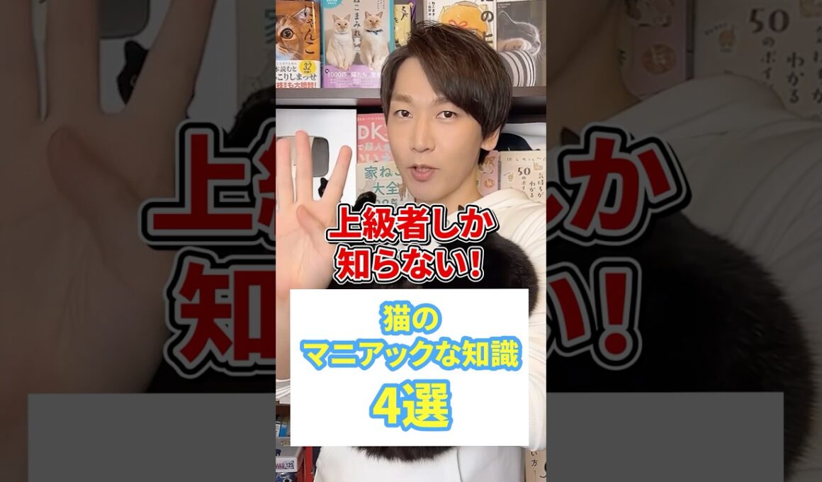上級者しか知らない！猫のマニアックな知識４選 #猫 #猫好き #ねこ