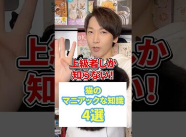 上級者しか知らない！猫のマニアックな知識４選 #猫 #猫好き #ねこ