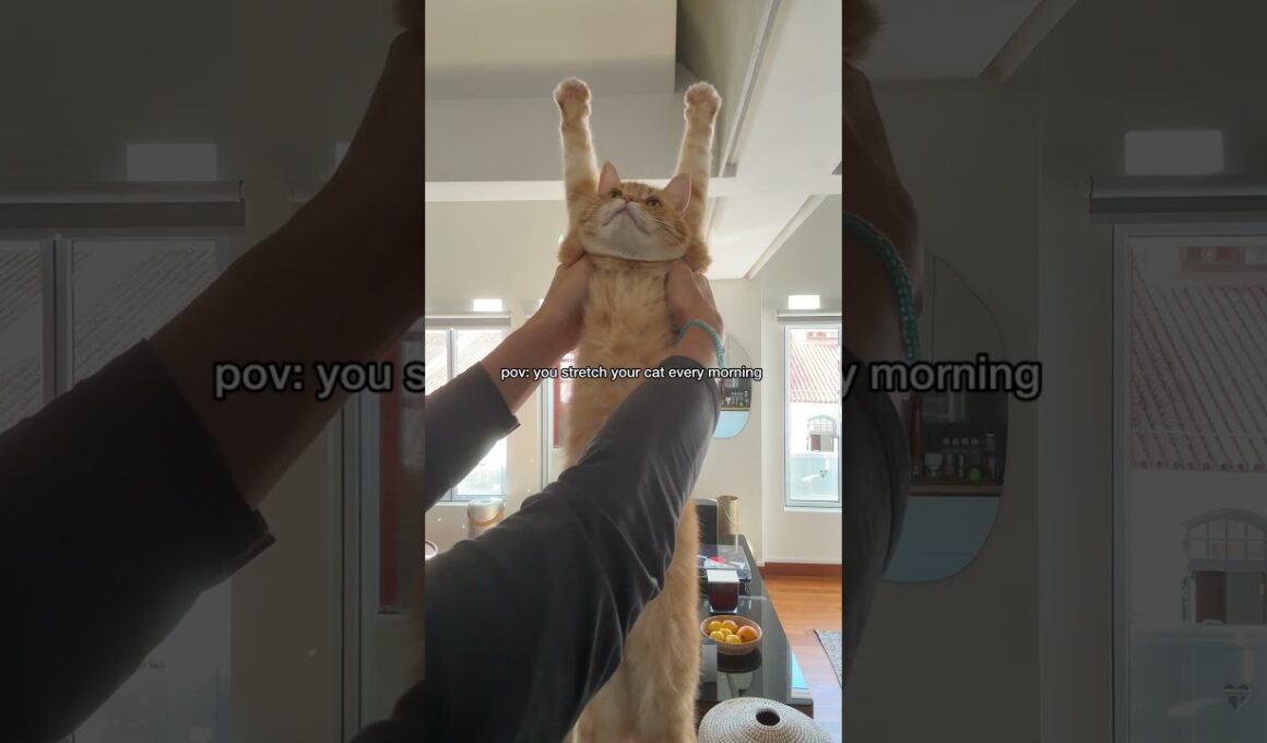 time for a biiiig stretch!